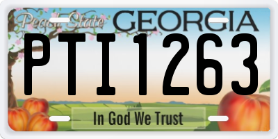 GA license plate PTI1263
