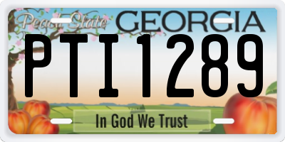 GA license plate PTI1289