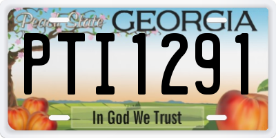 GA license plate PTI1291