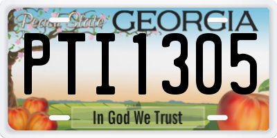 GA license plate PTI1305