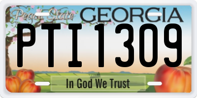 GA license plate PTI1309