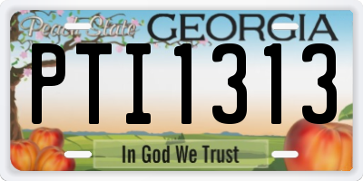 GA license plate PTI1313