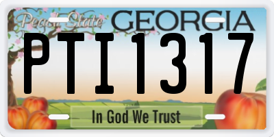 GA license plate PTI1317