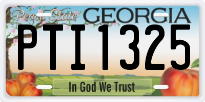 GA license plate PTI1325