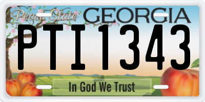 GA license plate PTI1343