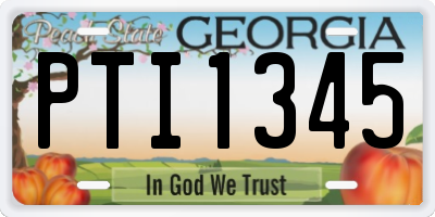 GA license plate PTI1345