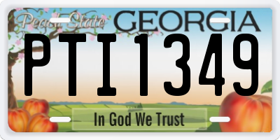 GA license plate PTI1349