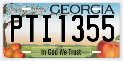 GA license plate PTI1355