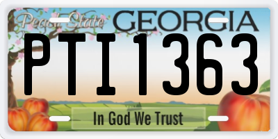 GA license plate PTI1363