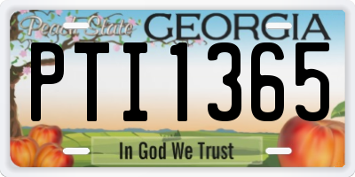 GA license plate PTI1365