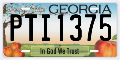 GA license plate PTI1375