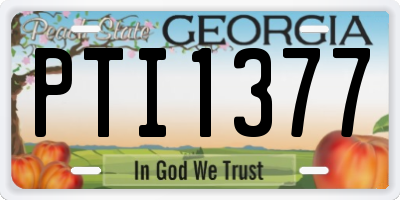 GA license plate PTI1377