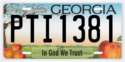 GA license plate PTI1381