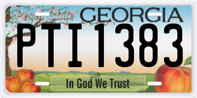 GA license plate PTI1383