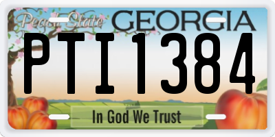 GA license plate PTI1384