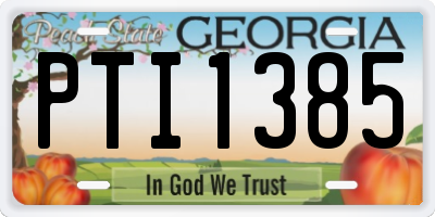 GA license plate PTI1385