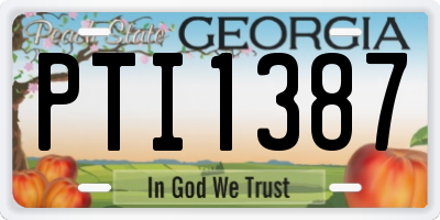 GA license plate PTI1387