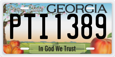 GA license plate PTI1389
