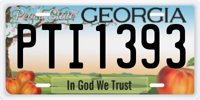 GA license plate PTI1393