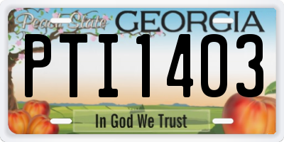 GA license plate PTI1403