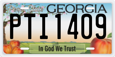 GA license plate PTI1409