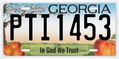 GA license plate PTI1453