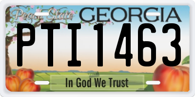 GA license plate PTI1463