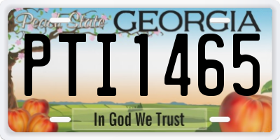 GA license plate PTI1465