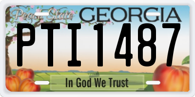GA license plate PTI1487