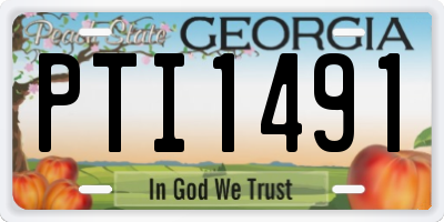 GA license plate PTI1491