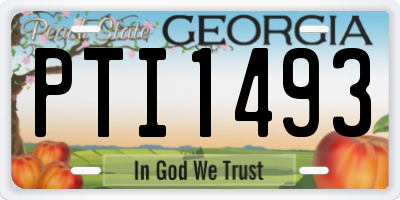 GA license plate PTI1493