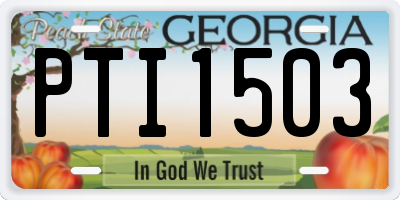 GA license plate PTI1503