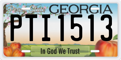 GA license plate PTI1513