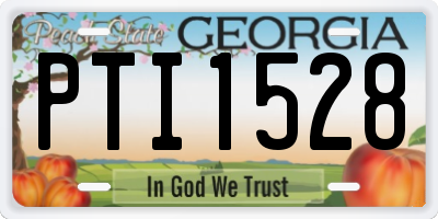 GA license plate PTI1528