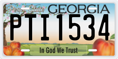GA license plate PTI1534