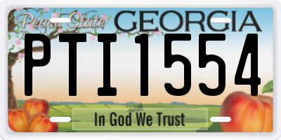 GA license plate PTI1554