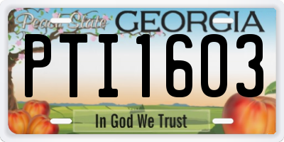 GA license plate PTI1603