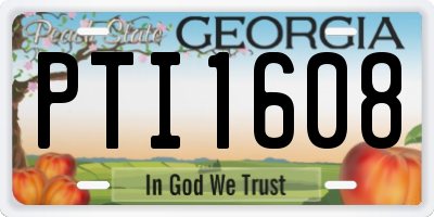 GA license plate PTI1608