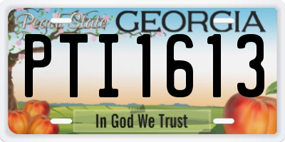 GA license plate PTI1613