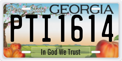 GA license plate PTI1614