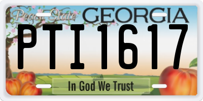 GA license plate PTI1617