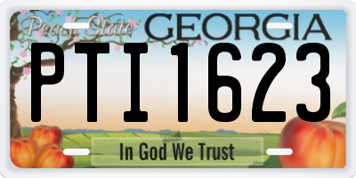 GA license plate PTI1623