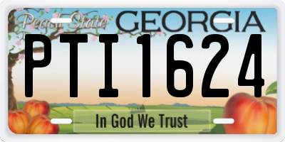 GA license plate PTI1624