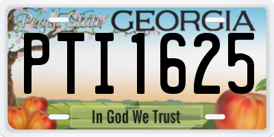 GA license plate PTI1625