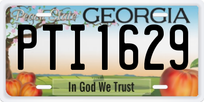 GA license plate PTI1629