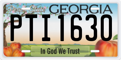 GA license plate PTI1630