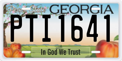 GA license plate PTI1641
