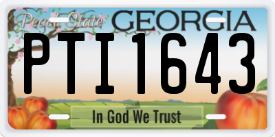 GA license plate PTI1643