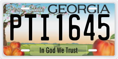 GA license plate PTI1645