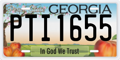 GA license plate PTI1655